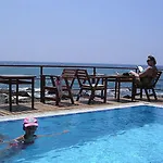 Yali 3* シダ
